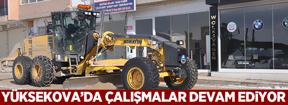 Yüksekova'da çalışmalar devam ediyor