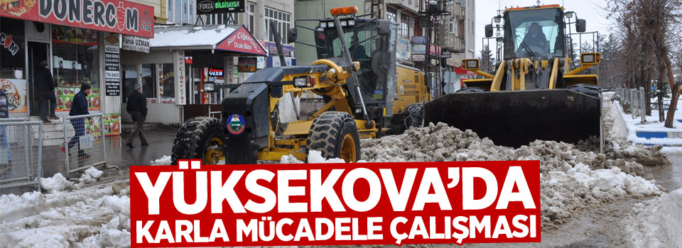 Yüksekova'da karla mücadele çalışması