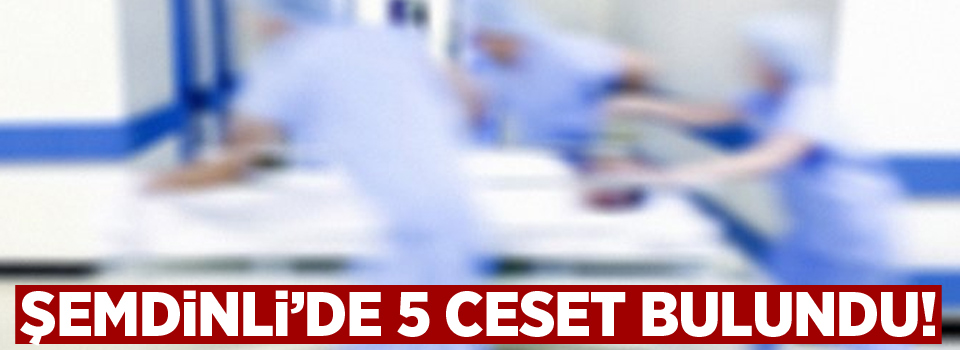 Şemdinli'de 5 ceset bulundu!