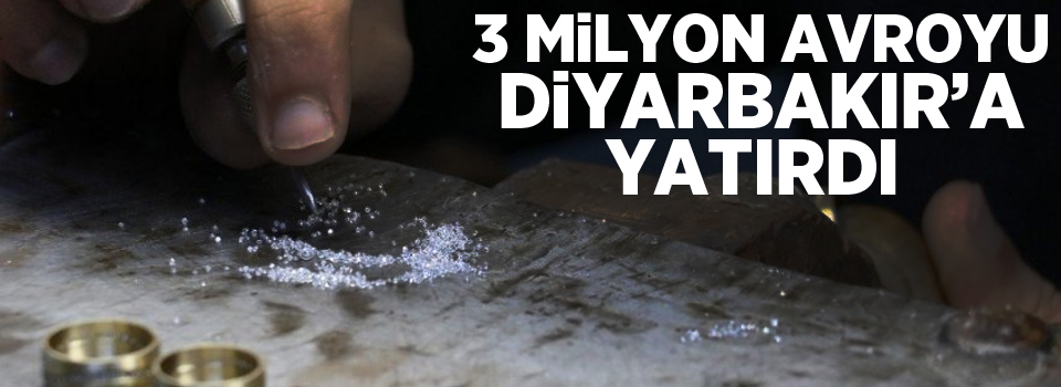 Zor yolu seçti 3 milyon avroyu Diyarbakır’a yatırdı