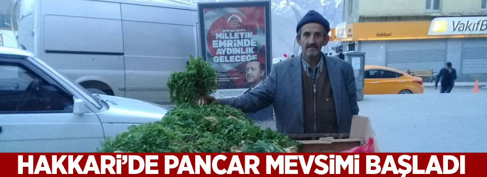 Hakkari’de pancar mevsimi başladı