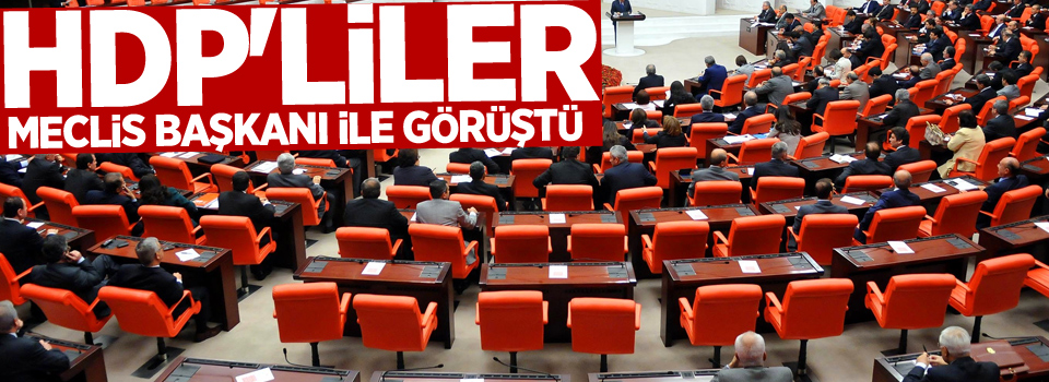 HDP'liler Meclis Başkanı ile görüştü