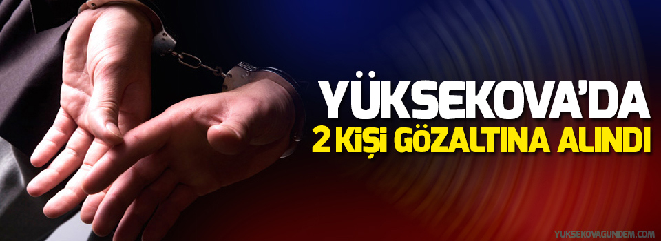 Yüksekova'da 2 kişi gözaltına alındı