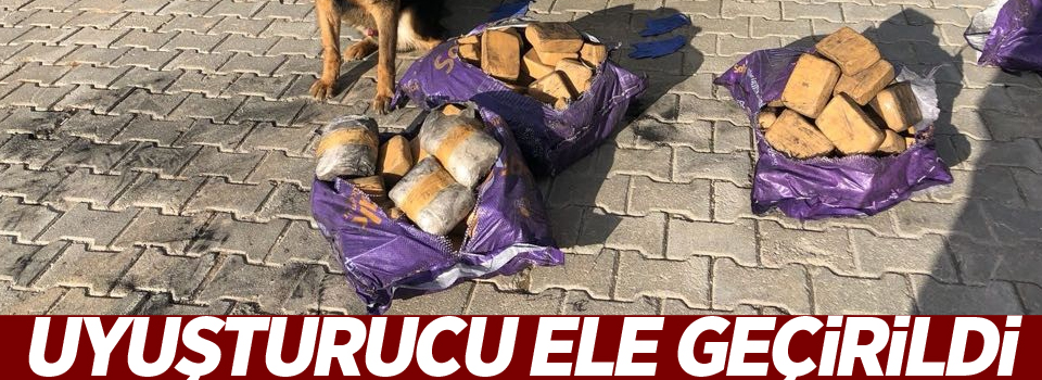 Van'da uyuşturucu operasyonu