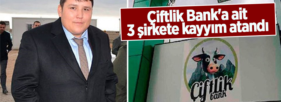 Çiftlik Bank'a ait 3 şirkete kayyım atandı