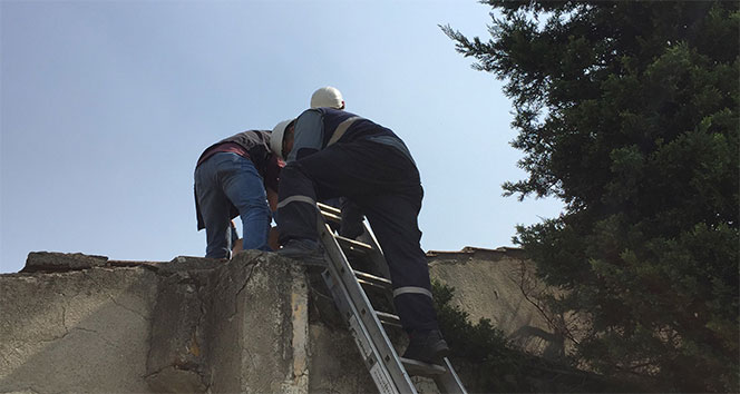 Elektrik trafosuna giren hırsız, yanarak can verdi