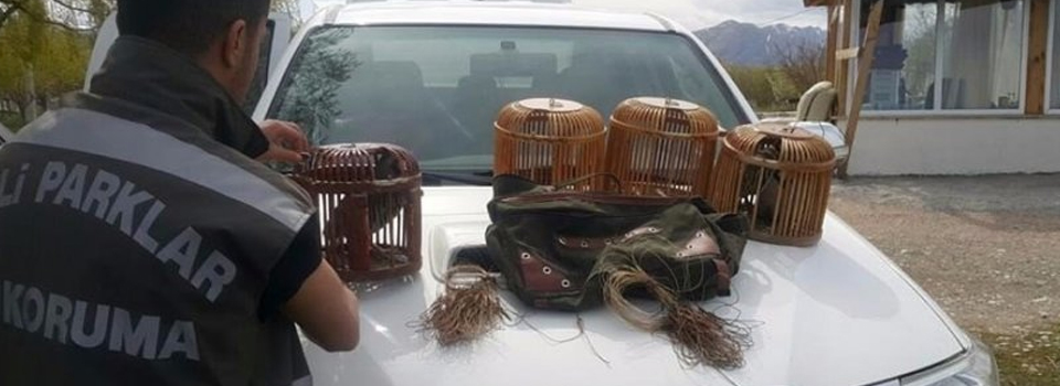 Van’da kafes avcılarına operasyon