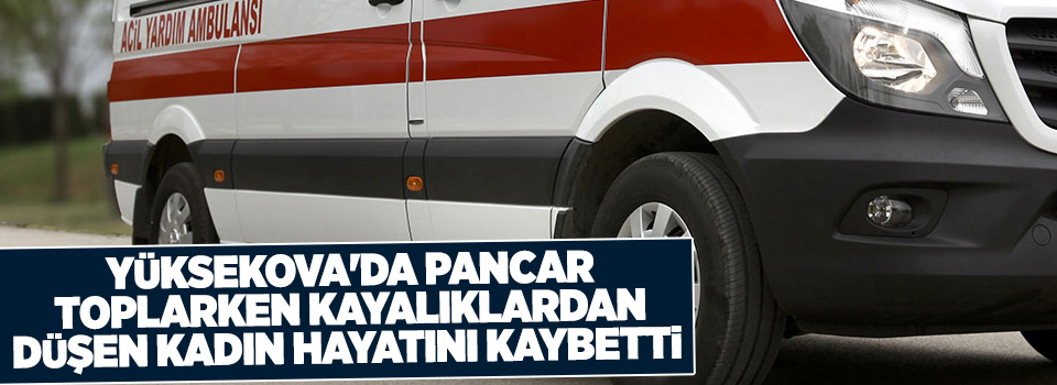 Yüksekova'da pancar toplarken kayalıklardan düşen kadın hayatını kaybetti