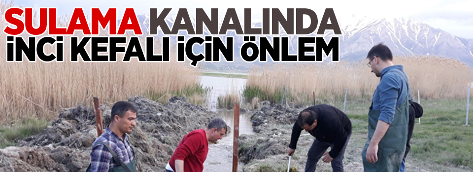 Sulama kanalında inci kefali için önlem