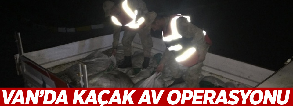 8,5 ton kaçak avlanmış inci kefali balığı ele geçirildi