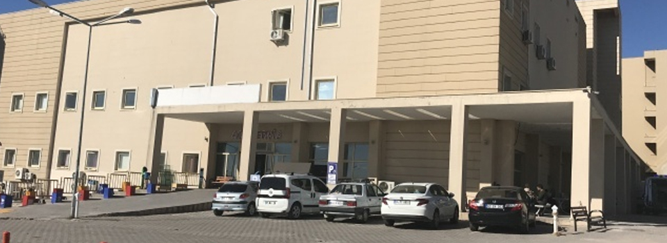 Siverek'te yıldırım düştü: 1 ölü, 1 yaralı
