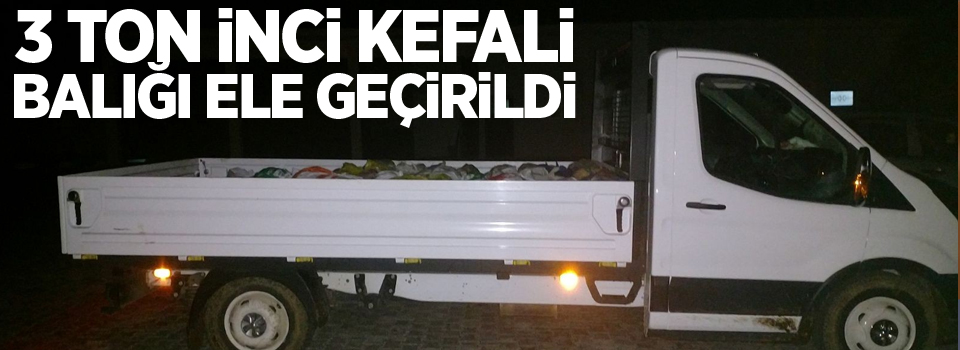 3 ton inci kefali balığı ele geçirildi