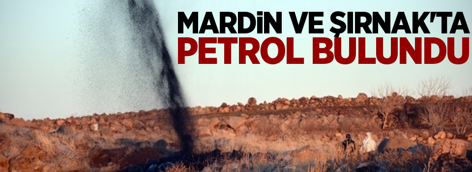 Mardin ve Şırnak'ta Petrol Bulundu