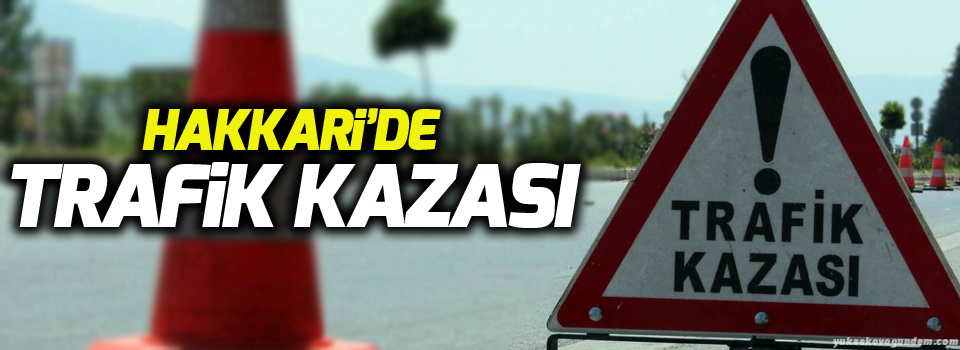 Hakkari'de trafik kazası:1 ölü