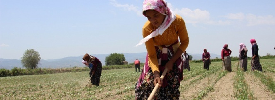 45 derece sıcakta ekmek parası mücadelesi