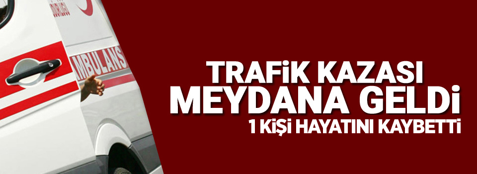 Direksiyon hakimiyetini kaybetti, ağaca çarptı: 1 ölü, 2 yaralı