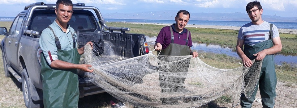 500 kilogram kaçak avlanmış balık ele geçirildi