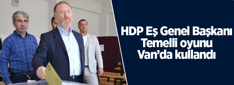HDP Eş Genel Başkanı Temelli oyunu Van'da kullandı
