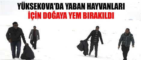 Doğaya Yem Bırakıldı