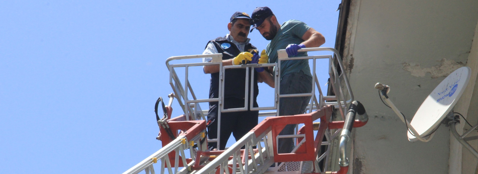 Çatıda mahsur kalan serçe kurtarıldı