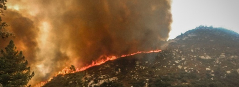 Kaliforniya’da OHAL ilan edildi