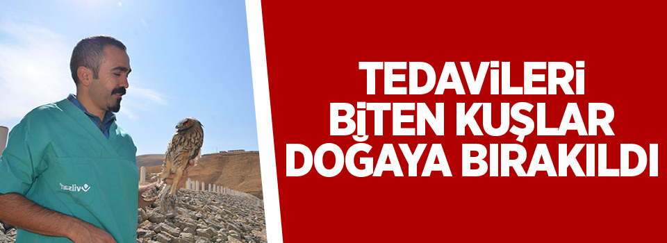 Tedavileri Biten Kuşlar Doğaya Bırakıldı