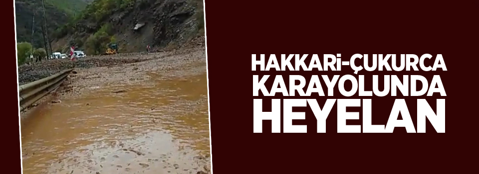 Hakkari-Çukurca karayolunda heyelan