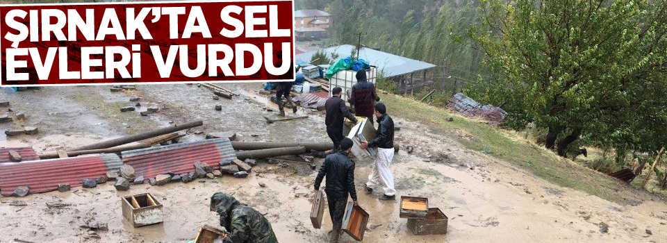 Şırnak’ta sel evleri vurdu