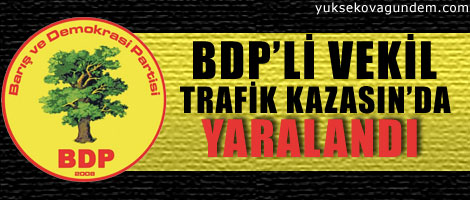 BDP'li vekil kazada yaralandı!