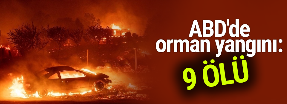 ABD'de orman yangını: 9 ölü