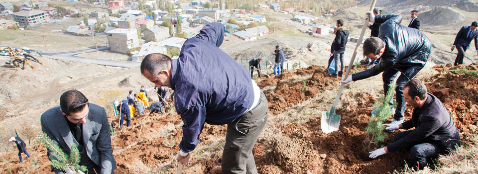 Üniversite'de ağaçlandırma çalışması