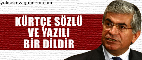Özçelik: Kürtçe sözlü ve yazılı bir dildir