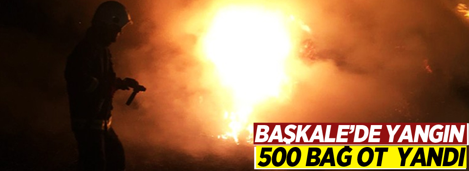 Başkale’de bin 500 bağ ot kül oldu