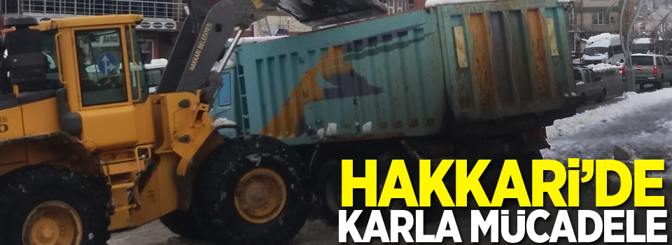 Hakkari'de karla mücadele