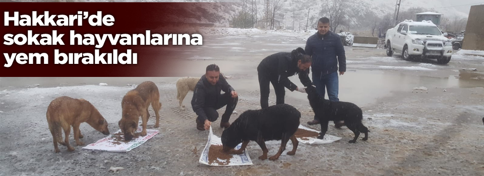 Hakkari’de sokak hayvanlarına yem bırakıldı