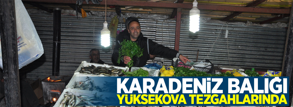 Karadeniz balığı Yüksekova tezgahlarında