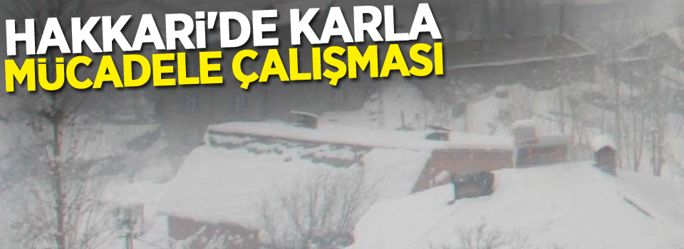 Hakkari'de karla mücadele çalışması