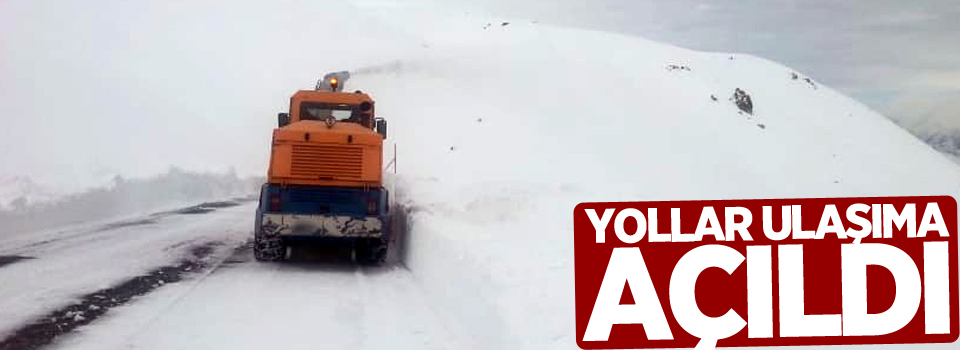 Hakkari’de köy ve mezra yolları ulaşıma açıldı