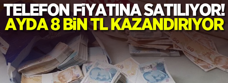 Telefon fiyatına satılıyor! Ayda 8 bin TL kazandırıyor