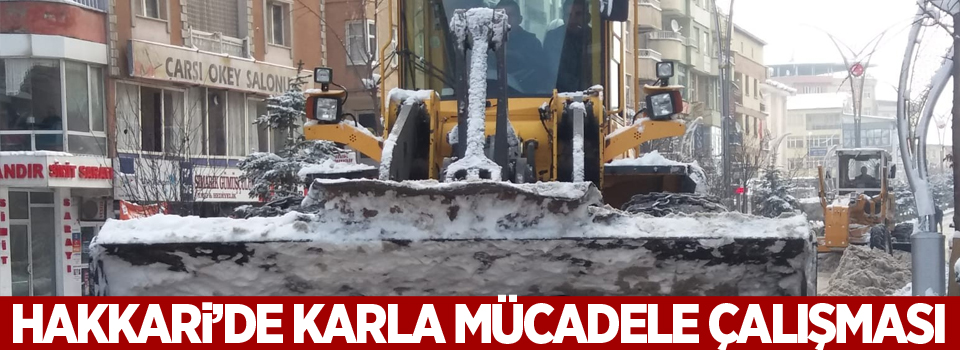 Hakkari Belediyesinden karla mücadele çalışması