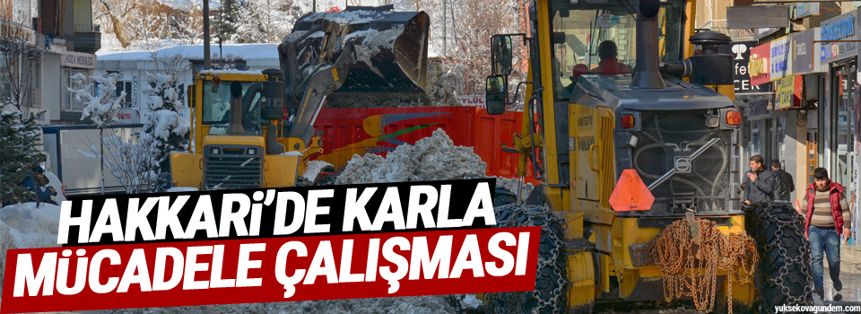 Hakkari’de karla mücadele çalışması