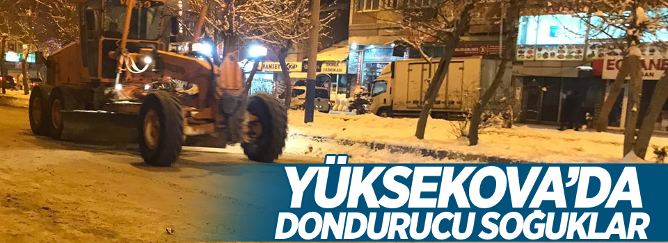 Yüksekova’da dondurucu soğuklar