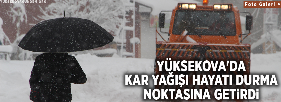 Yüksekova'da kar yağışı hayatı durma noktasına getirdi