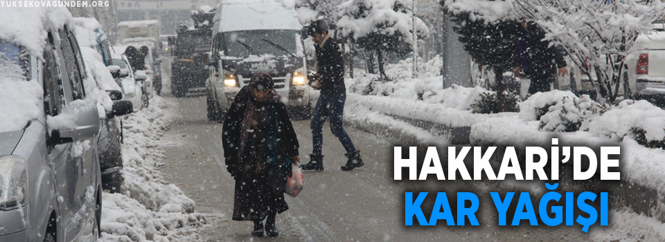 Hakkari’de kar yağışı