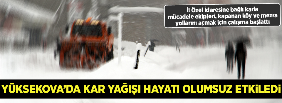 Yüksekova'da kar yağışı hayatı olumsuz etkiledi