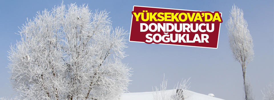 Yüksekova'da dondurucu soğuklar