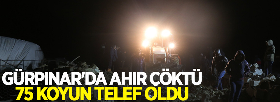 Gürpınar'da ahır çöktü 75 koyun telef oldu