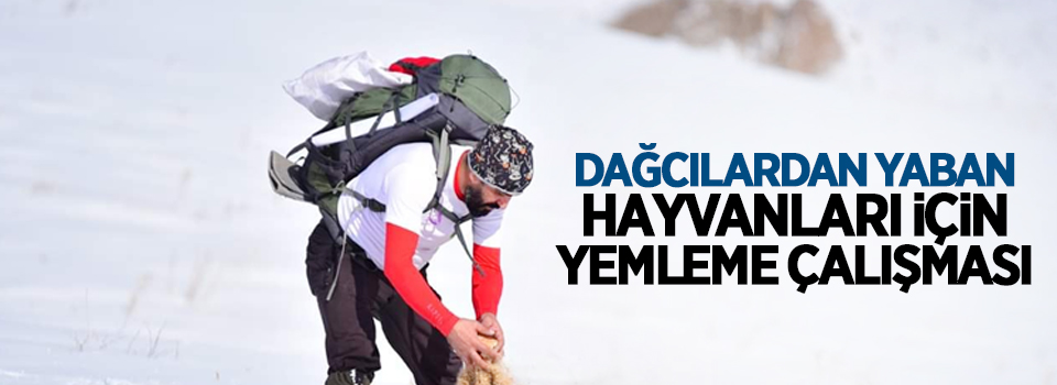 Dağcılardan yaban hayvanları için yemleme çalışması