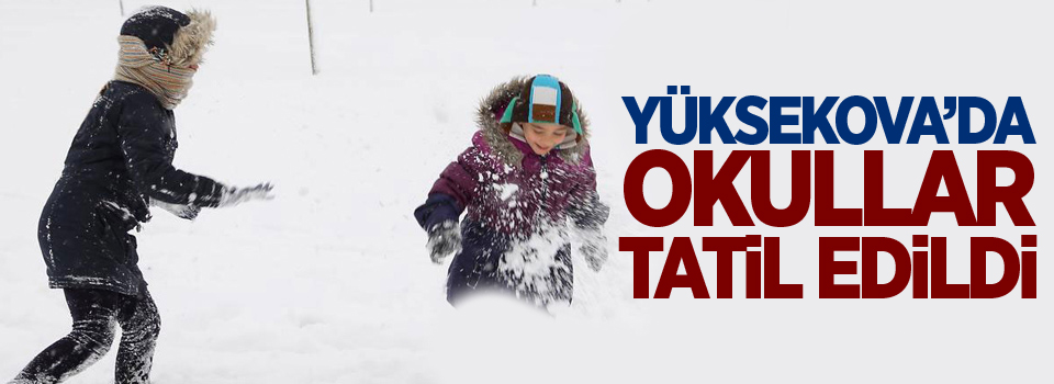 Yüksekova'da okullar tatil edildi