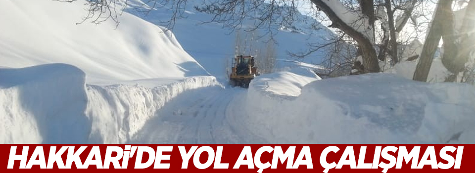 Hakkari'de yol açma çalışması